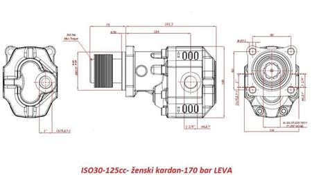 HYDRAULISCHE GUSSEISENPUMPE ISO30-125cc- MUFFE-WEIBLICH kardan-170 bar LINKS