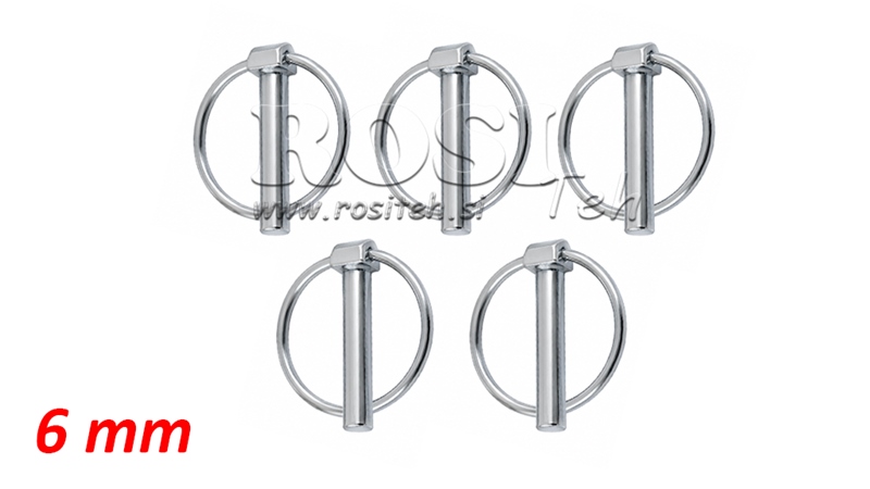 CONFEZIONE DA 5 SPINE A SCATTO ECO fi 6,0 mm