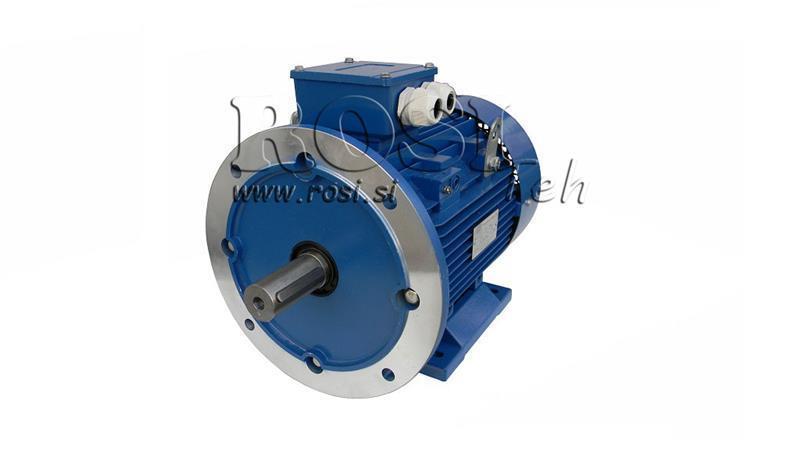 MOTOR ELÉTRICO 2P B3B5 3F 