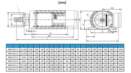 ELEKTRISCHER MOTOR KREISFÖRMIG 400V-5.5kW-2880rpm MSC 81 1-2