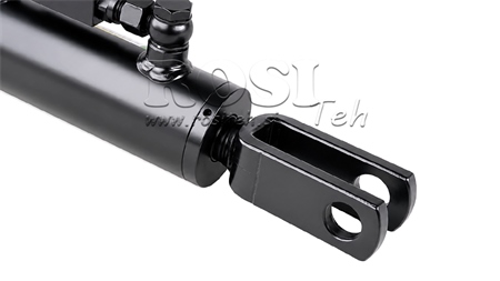 SEITLICHE HUBSTREBENVERSTELLUNG  - CARRARO ANTONIO 60/30min.380 tip (1) fi 24/24