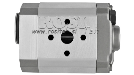 HYDRAULIKPUMPE 10A2X179 GR.1 - 2cc - LINKS