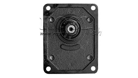 GEAR HYDRAULIC MOTOR (20MR12X546) GR.2 - 12CC