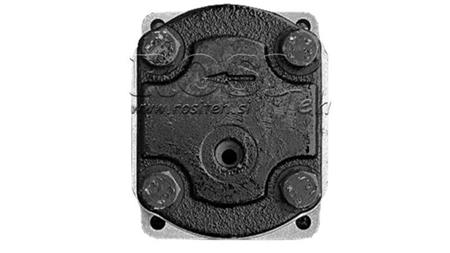 GEAR HYDRAULIC MOTOR (20MR12X546) GR.2 - 12CC