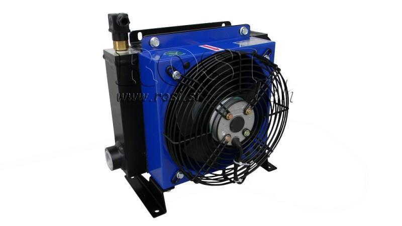 RADIATORE OLIO AC 230V HY03801 40-160 LIT