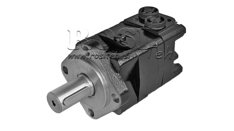 HYDRAULIC MOTOR MS 80 ECO (ALSG3-80)