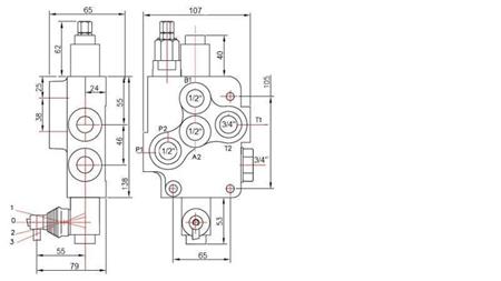 HYDRAULIC VALVE 1xP80